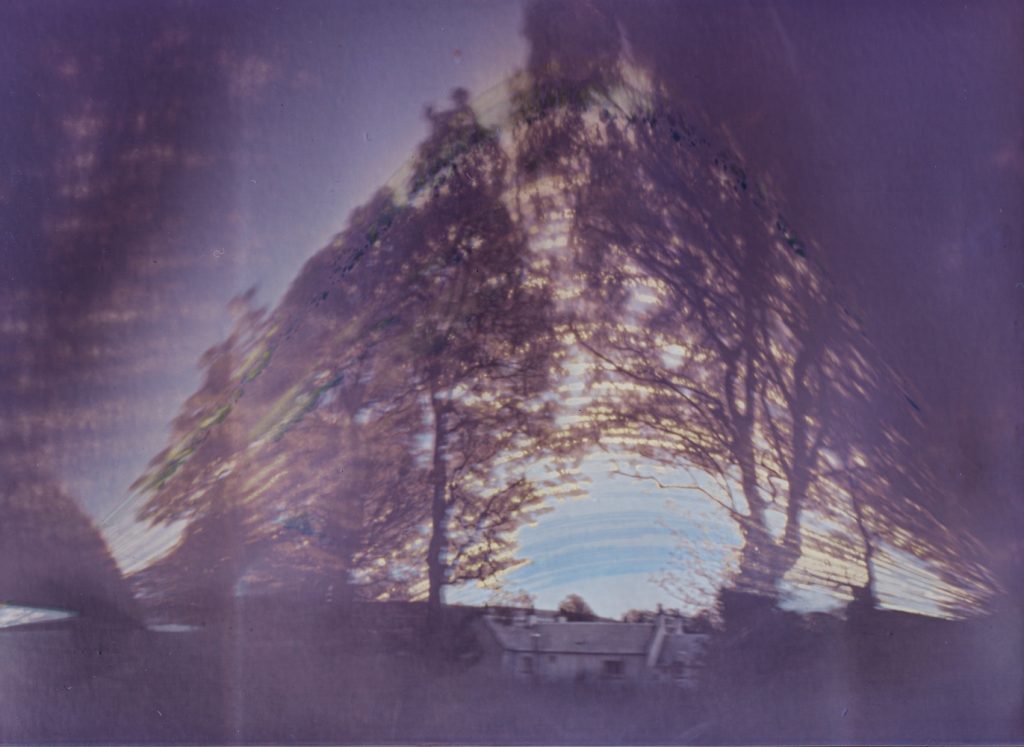 Sun through the trees