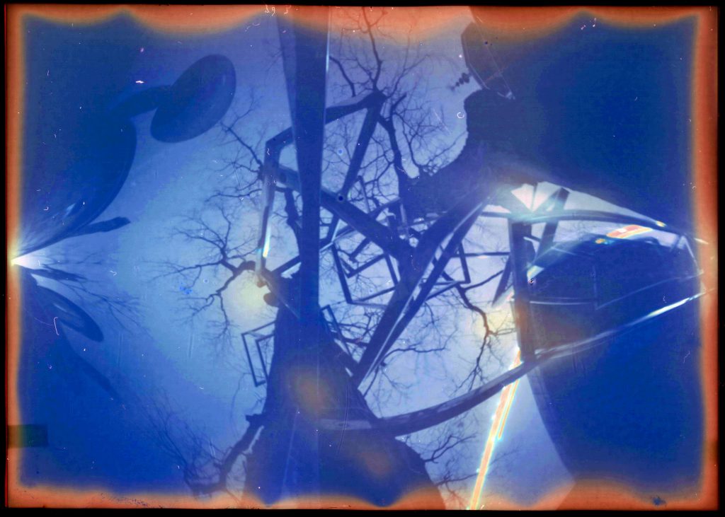 Sculpture in a tree