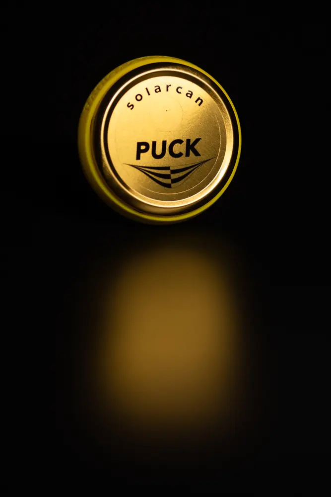 The Deluxe Pucks - Image 6