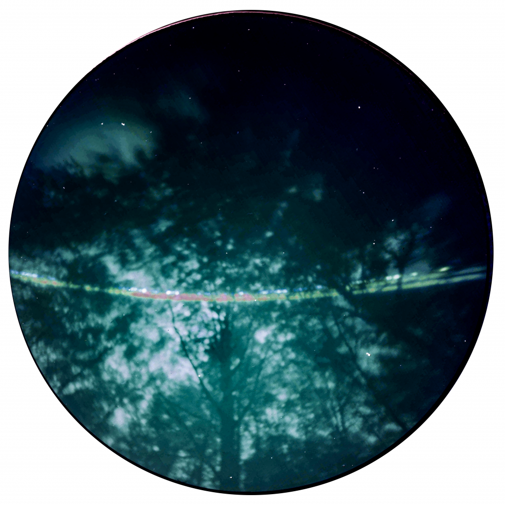 Under the trees