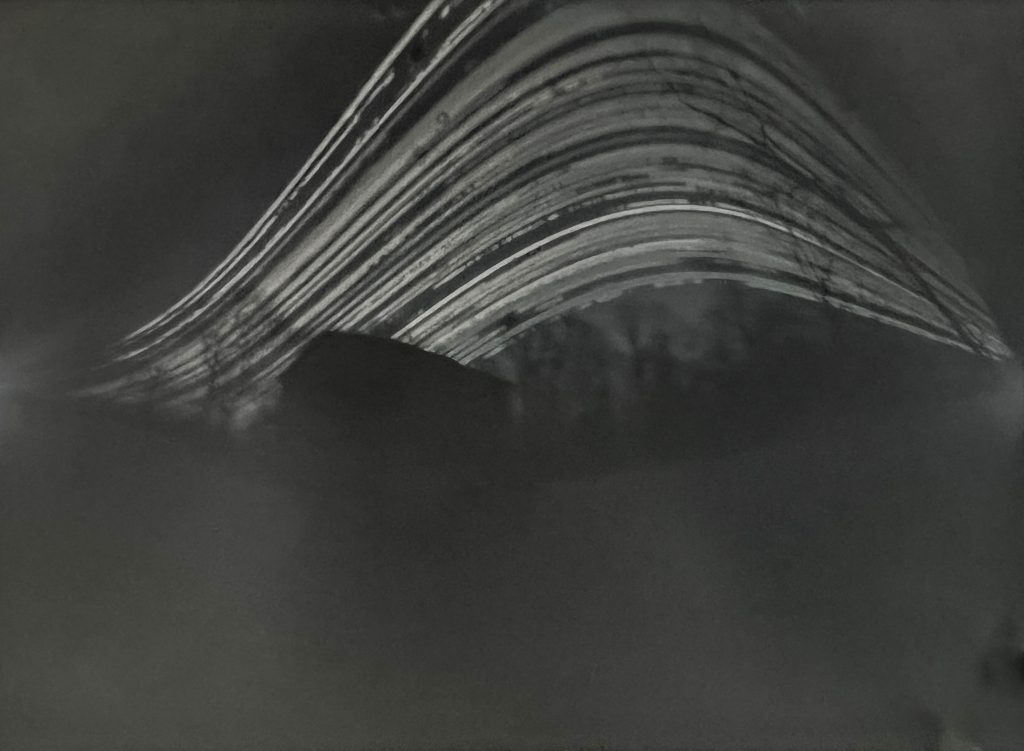 My house spring 2023