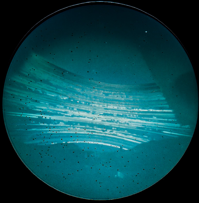 Solstice to Solstice