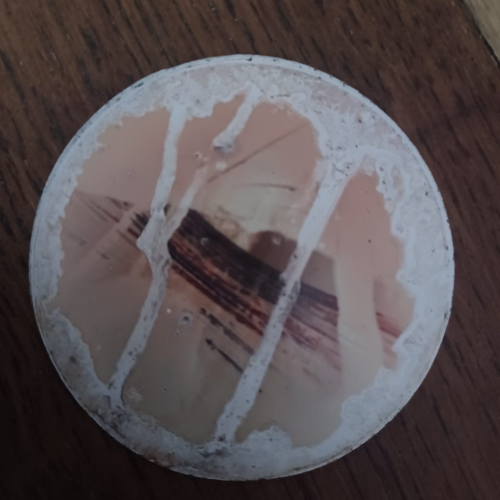 14 month Garden shot