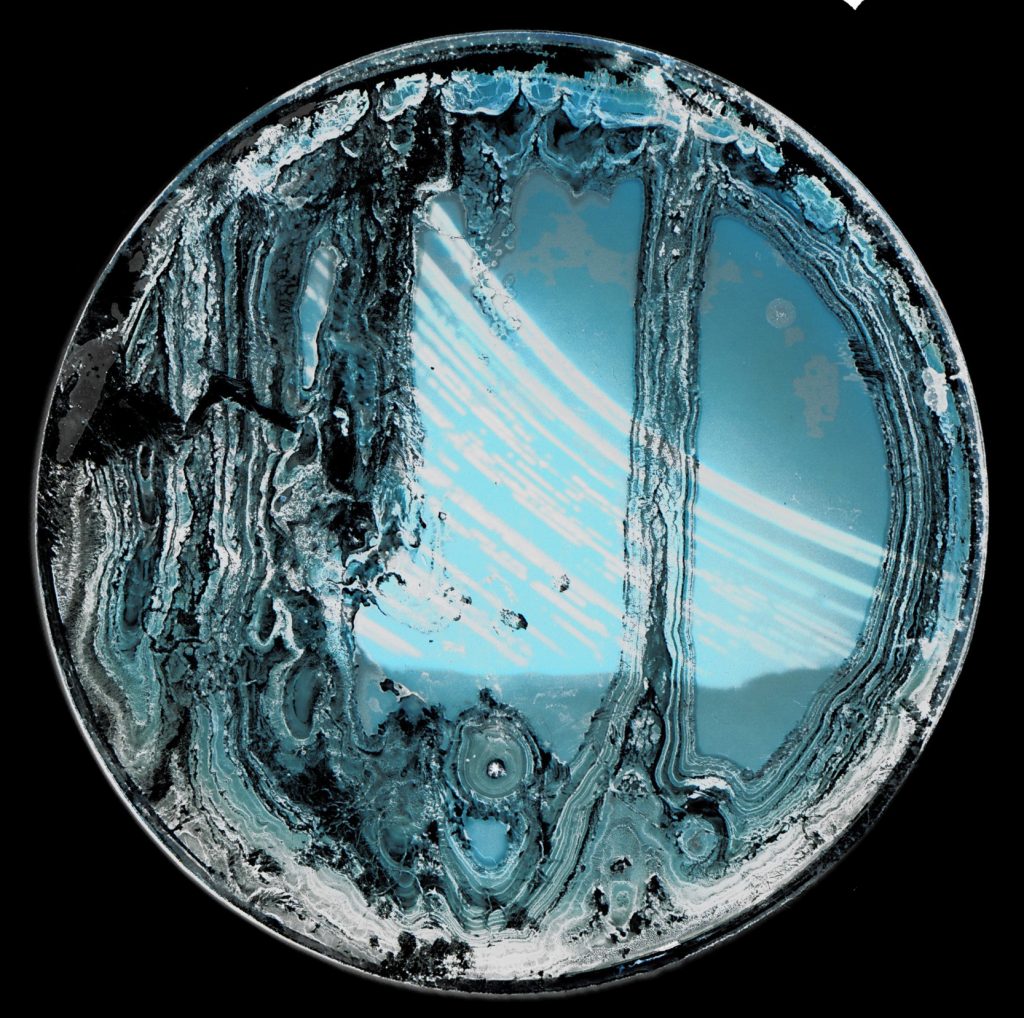 6ish months on the farm