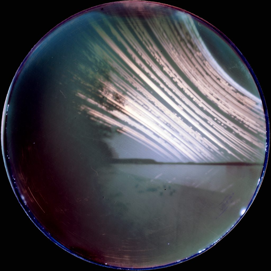 Pinhole From the Sun: 183 Days of Continuous Exposure