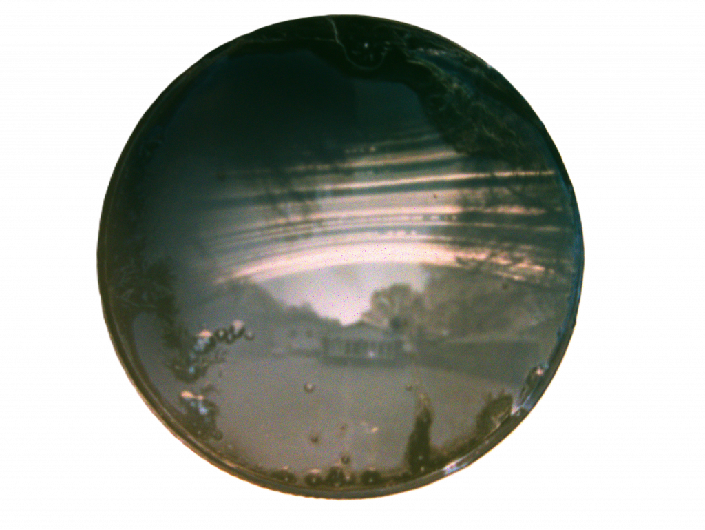 Backyard - Winter 2024 to Summer 2025