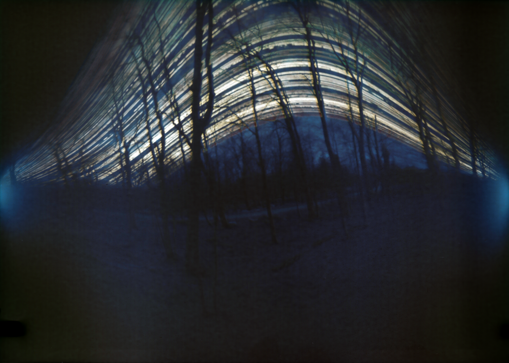 Six months in the Bjorklunden woods